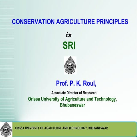 Conservation agriculture and sri