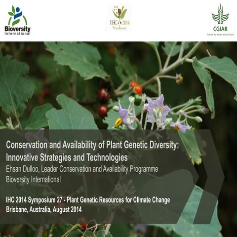 Conservation and availability of plant genetic diversity 
