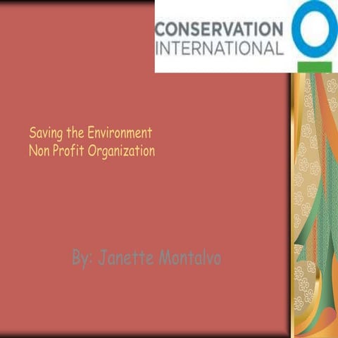 Conservation International READ 142 Project 1