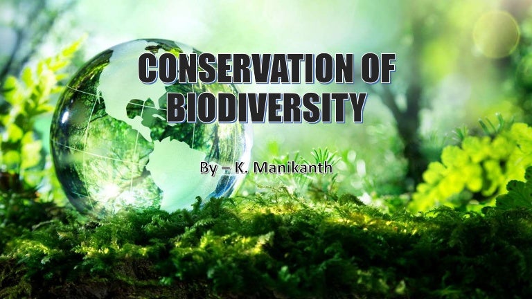 Conservation of biodiversity