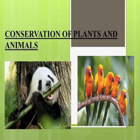 Conservation of plants and animal