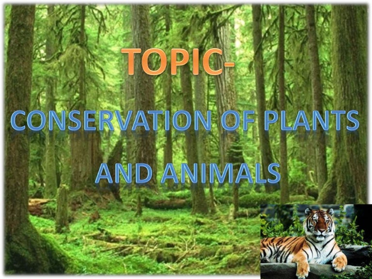 Conservation of plants and animals