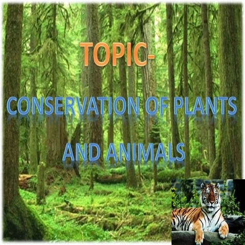 Conservation of plants and animals