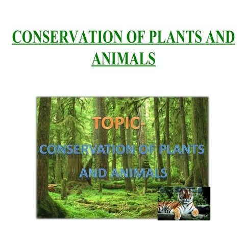Conservation of Plants and Animals
