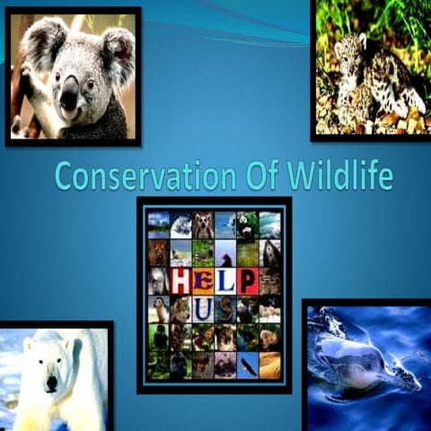 Conservation of wildlife
