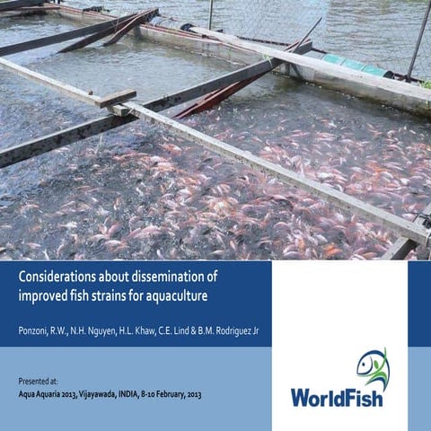 Considerations about dissemination of improved fish strains for aquaculture
