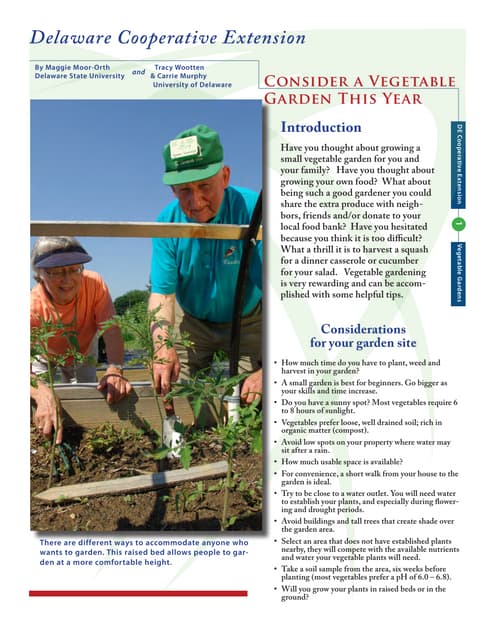 Consider vegetable gardening