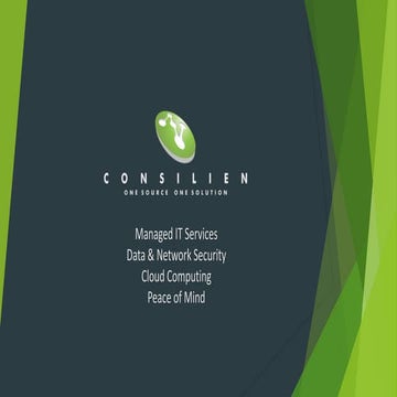 Consilien Managed IT Services
