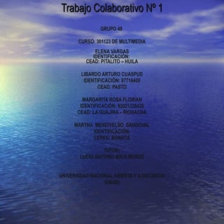 Trabajo Colaborativo 1 Multimedia