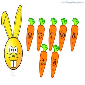 Consolidare sunetul v