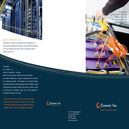 Consort Brochure 3fold