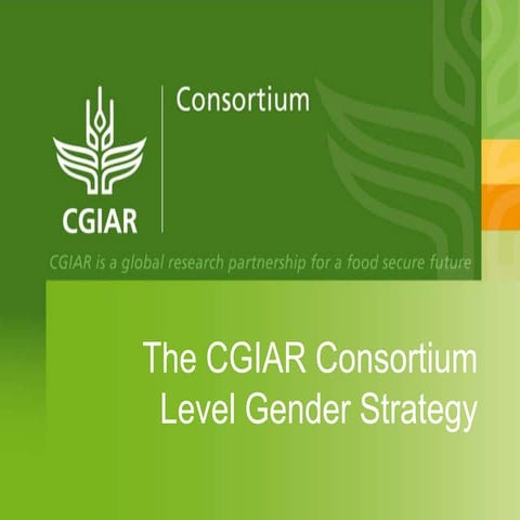 Consortium level gender strategy 2
