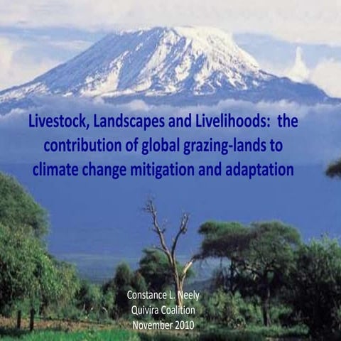 F Livestock, Landscapes and Livelihoods: the contribution of global grazing-lands to climate change mitigation and adaptation - Constance Neely 