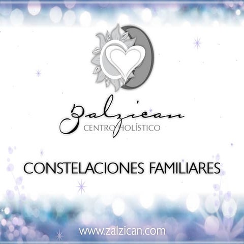 Constelaciones Familiares Zalzican