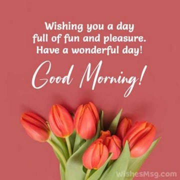 constellation final.pptx