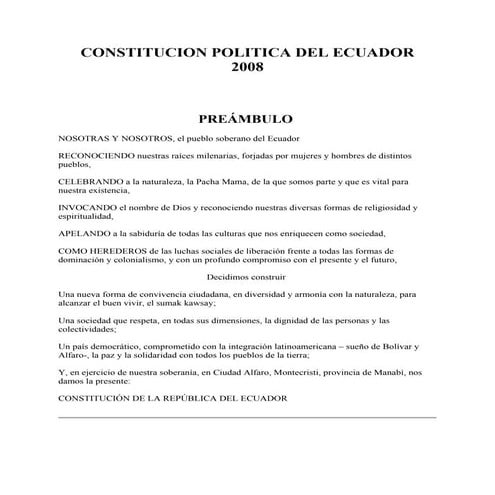 Constitucion 2008