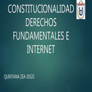 Constitucionalidad internet