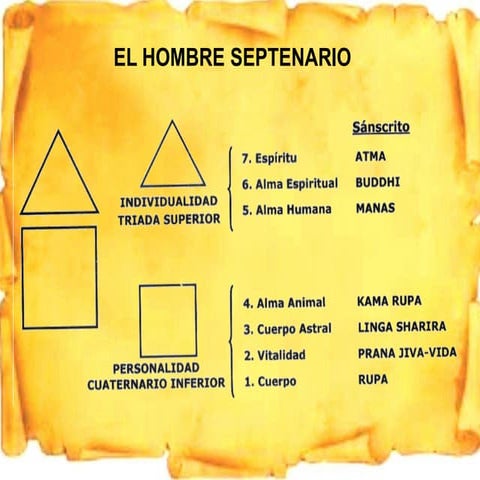 Constitucion septenaria del hombre