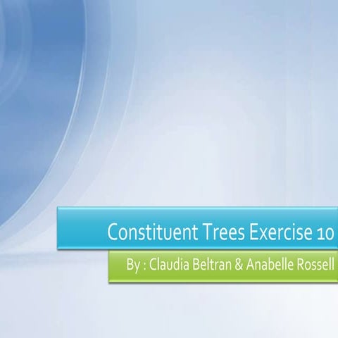 The Sunrise Project | PPT