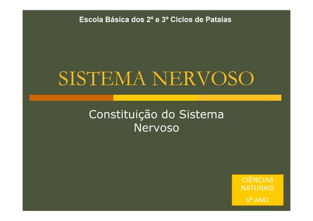 Constituicao do sistema nervoso