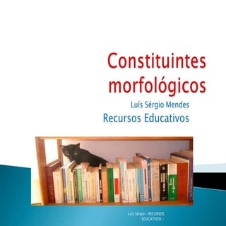 Constituintes morfológicos