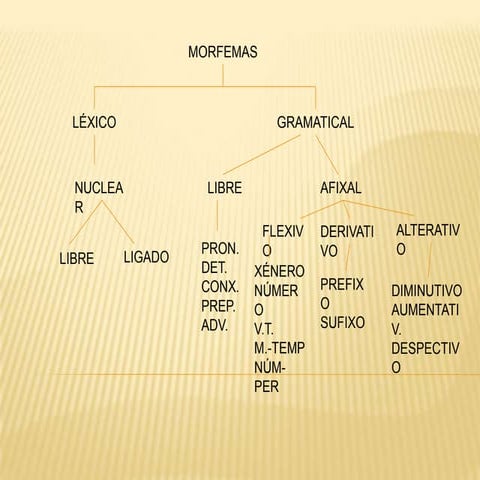 Constituintes palabra