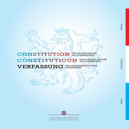 Constitution.pdf