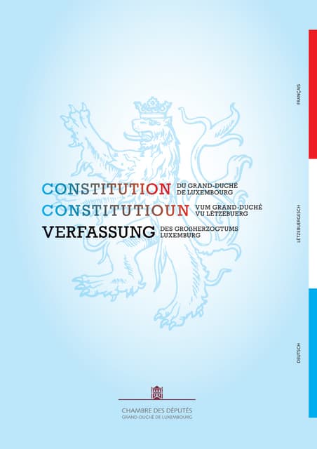Constitution.pdf
