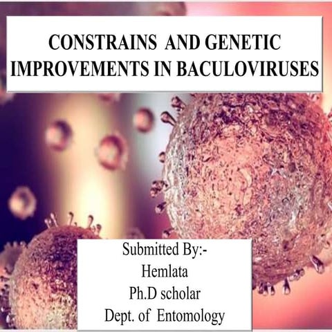 Constrains  and genetic improvements in baculoviruses