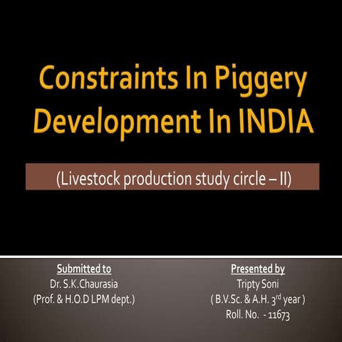 Constraints in piggery development