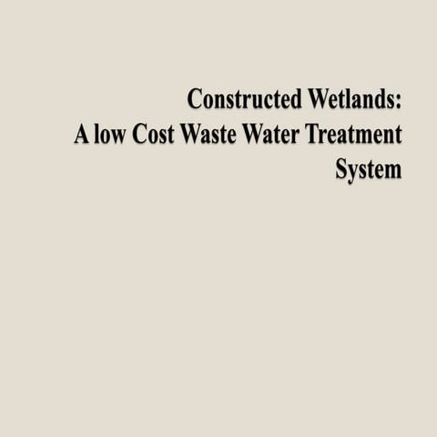 Constructed wetland