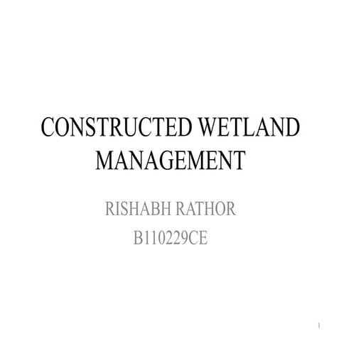 Constructed wetland management