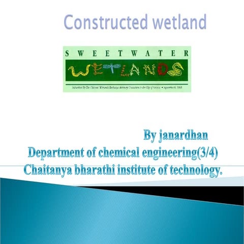 Constructed wetlands 2