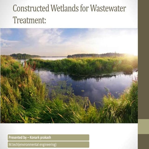Constructed wetlands for wastewater treatment