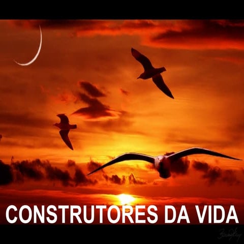 C O N S T R U T O R E S  D A  V I D A   Mensagem Do Dia 01