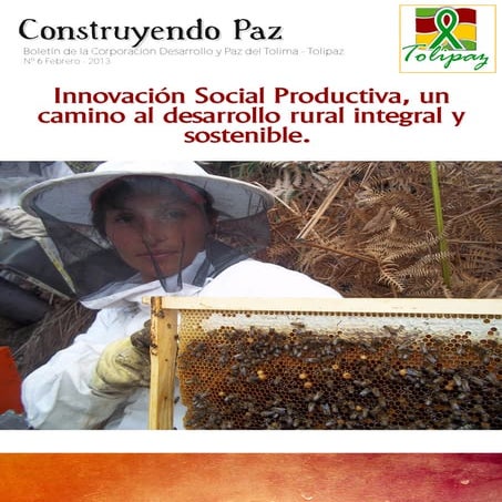 Construyendo paz edición n° 7 innovación social