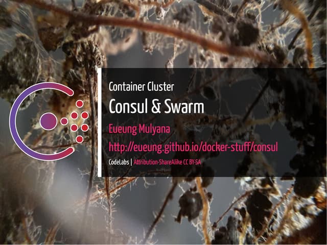 Consul and docker swarm cluster