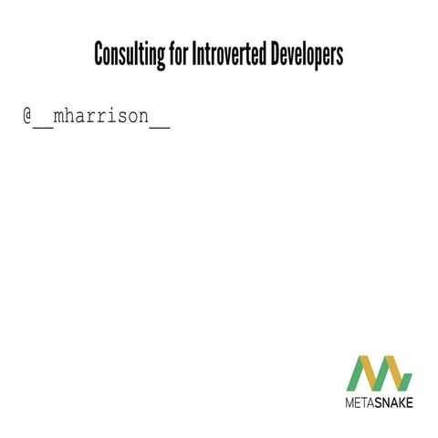 Technical Consulting for Introverted Developers (Python, R, Data Science, Java)