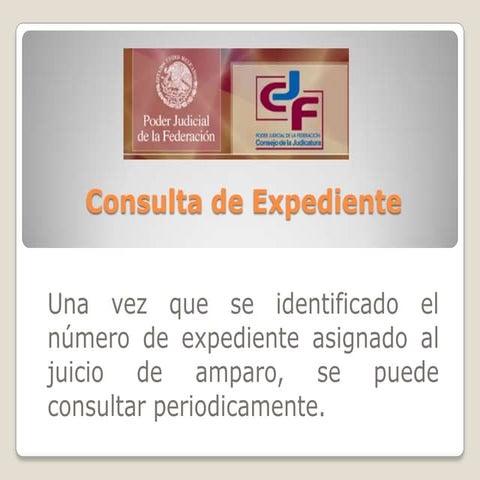 Consulta de expedientes de amparo en México | PPT