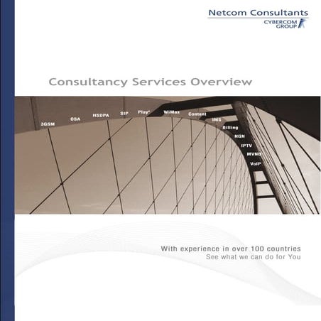 Consultancy services-overview