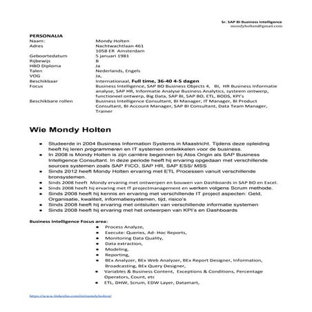 Business Intelligence / IT Consultant