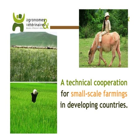 Sheep and goat value chains development in Ethiopia: Update on progress ...