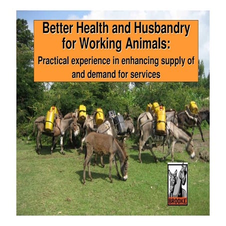 Better Health and Husbandry for Working Animals: Practical Eperience in Enhan...