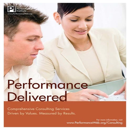 Consulting Brochure / The Performance Institute