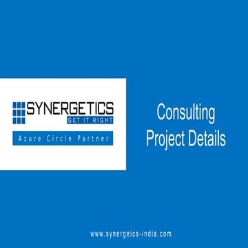 Synergetics Consulting Project Details