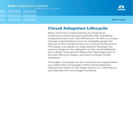 Consulting whitepaper cloud-adoption-lifecycle_0612-1