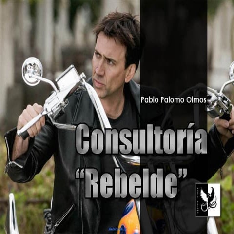 Consultoria rebelde