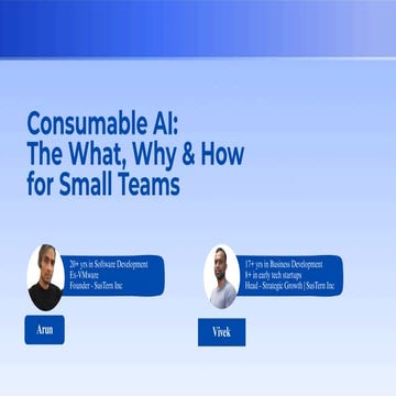 Consumable AI The What, Why & How for Small Teams.pdf