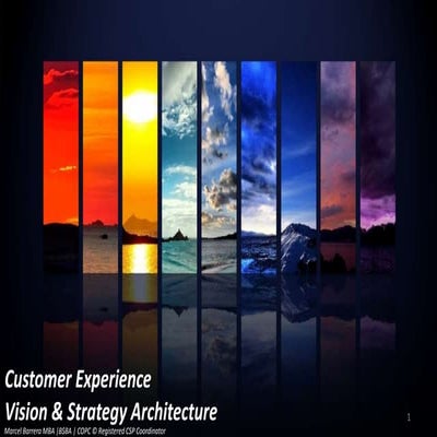 Customer Experience Strategy & Operations Transformation