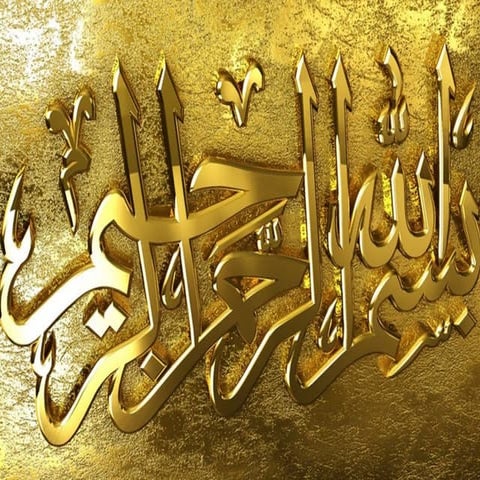 Consumer behavior project launching fruit juice